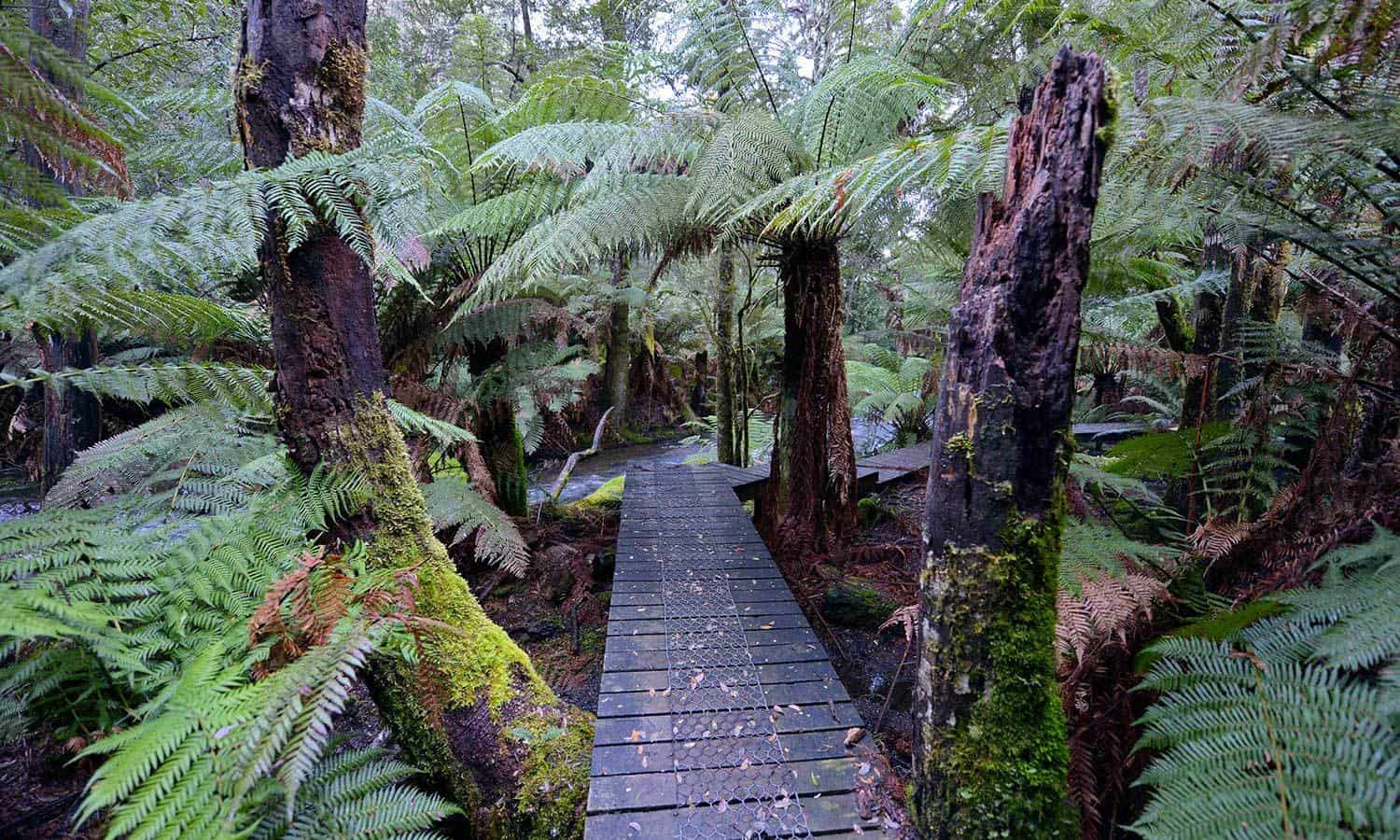 Accommodation Cradle Mountain Tasmania